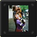 Chiots cavalier king charles dans les bras