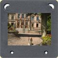 Cavalier king charles à la Mairie d'Ivry-la-bataille