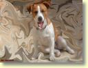 Terrier Jack Russel en peinture