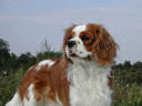 Sally