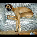 Position de sieste