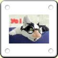 Humour : chat carnaval
