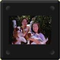 Truffe et Loulou, cavalier king charles dans les bras