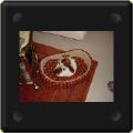 Candy cavalier king charles au panier