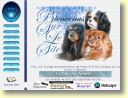 Netty, Prissy et Manette, chiens cavalier king charles