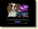 Sally, chienne cavalier king charles