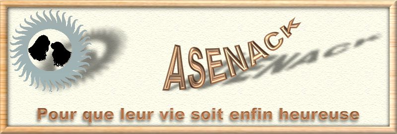 Sauvez les Cavaliers King Charles avec l'Asenack !